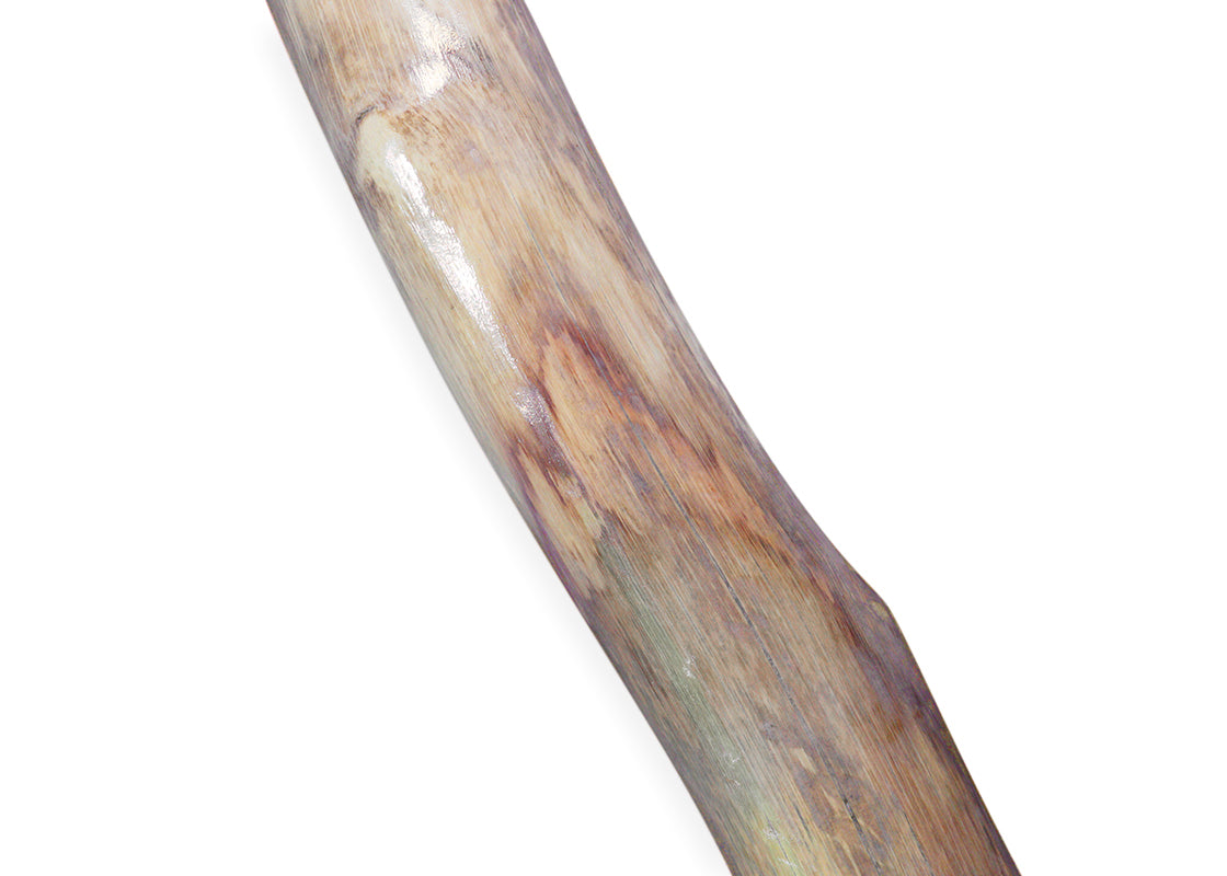 Didgeridoo (Atabatierra)
