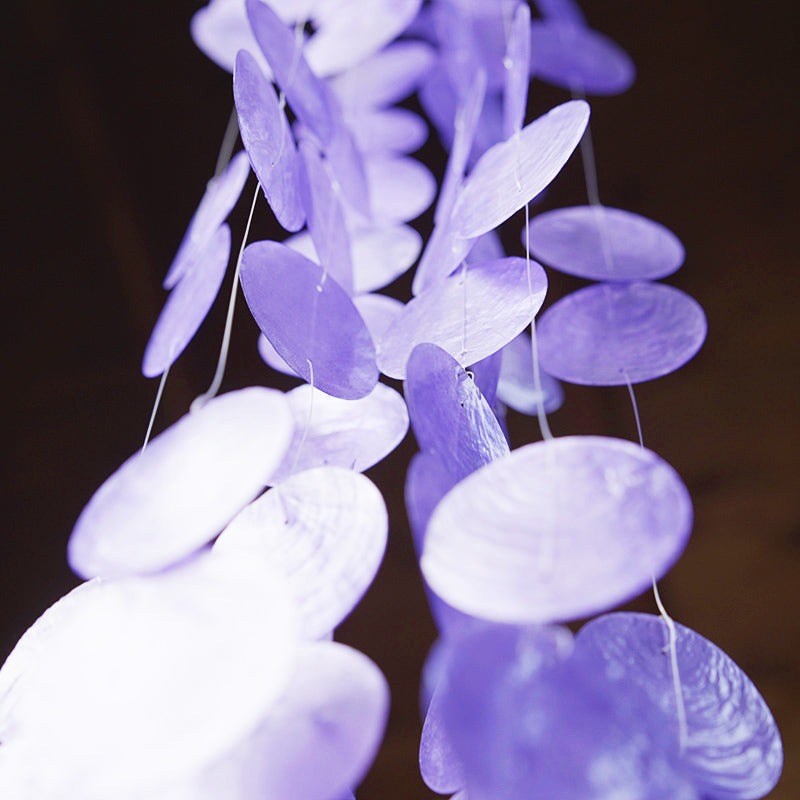 CAMPANA CASCADA DE CAPIZ - VIOLETA (RESERVA)