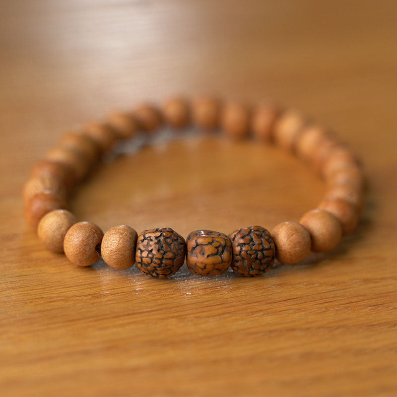 PULSERA ELÁSTICA MADERA Y SEMILLA DE RUDRAKSHA (8 MM)