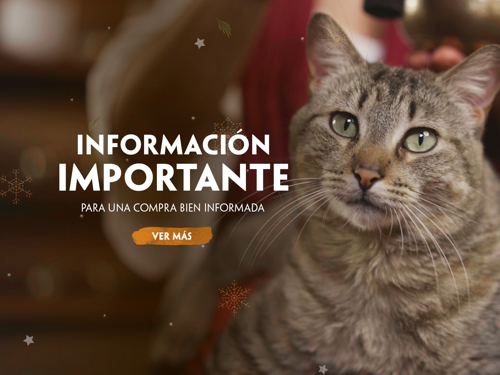 custom-slideshow-image-mobile-block_YfBbWF