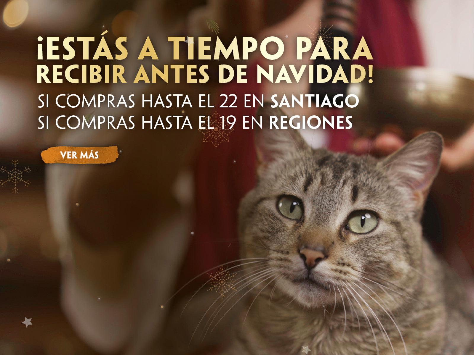 custom-slideshow-image-mobile-block_YfBbWF