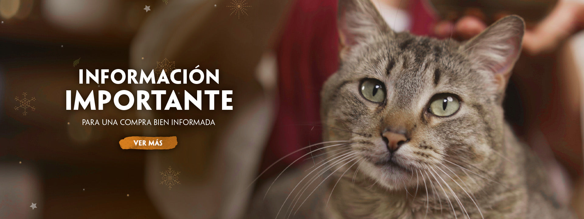 custom-slideshow-image-desktop-block_YfBbWF