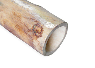Didgeridoo Agave